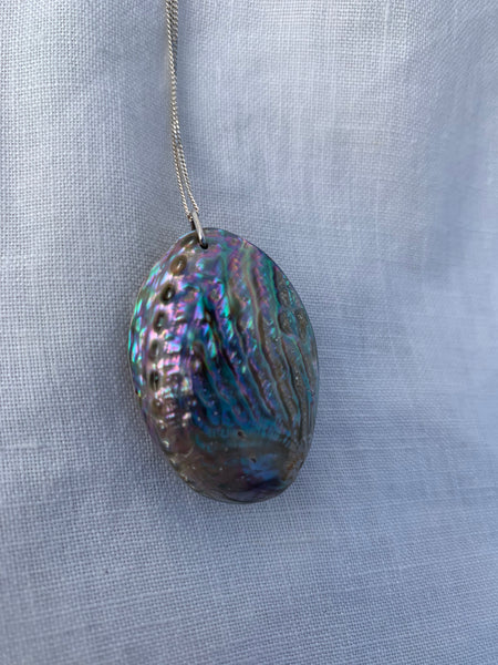 pāua seed silver necklace