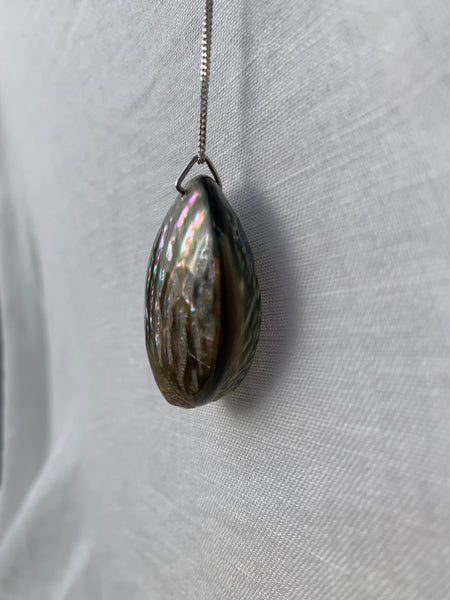 pāua seed silver necklace