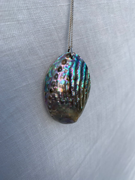 pāua seed silver necklace