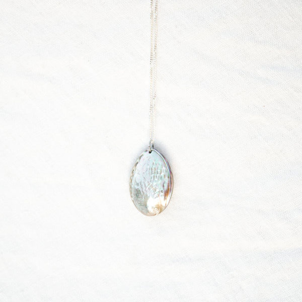 pāua seed silver necklace