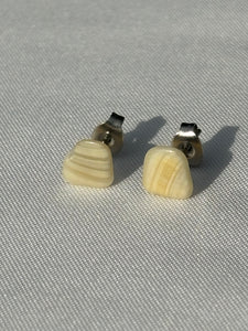 shell studs