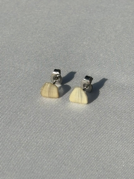 shell studs