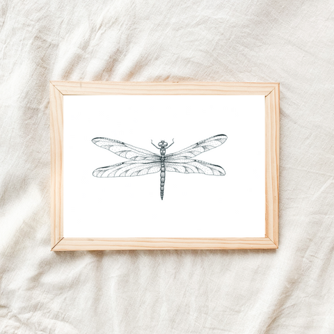 Dragonfly dot drawing